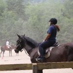 Equestrian summer camp