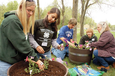 community service in Europe