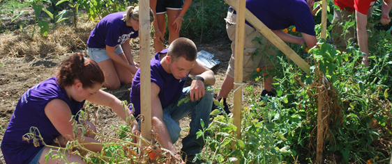 community-service-in-europe-call-the-summer-lady-today-for-advice