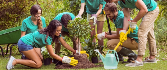 community-service-in-south-america-call-the-summer-lady-today