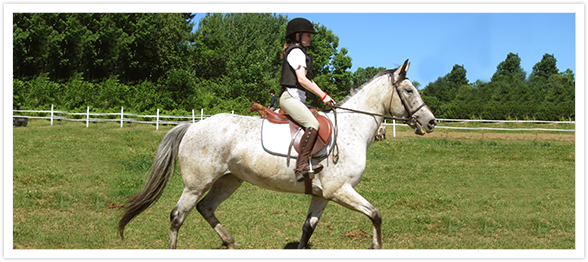 specialty summer camp programs like horse back riding